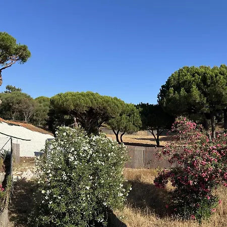 Vivenda Alfamar 2120 - 180m Da * Албуфейра